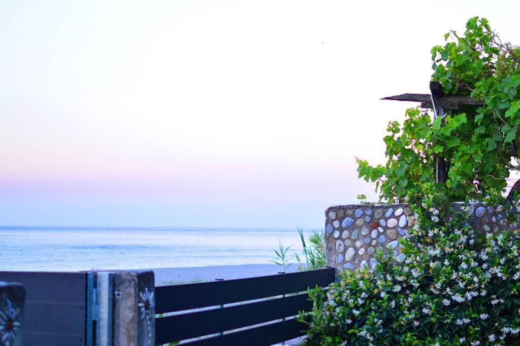 Amazing Beach House โคเรฟตอน ภายนอก รูปภาพ